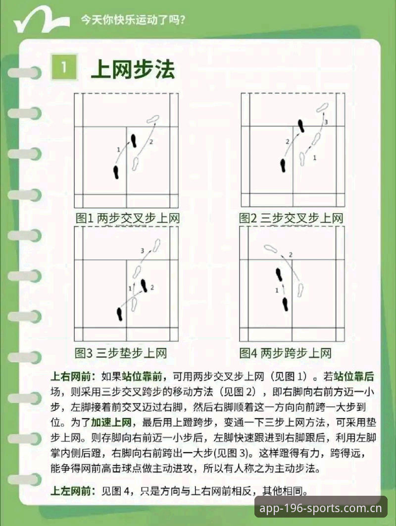 体育PC版加速使用技巧完整指南：从新手到老鸟的实用经验分享